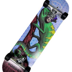 Patineta profesional avanzada hondar iguana azul.